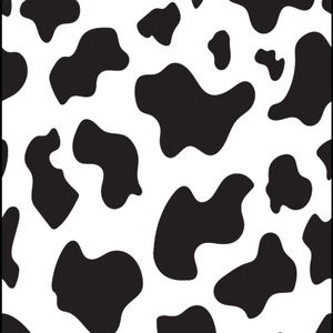 Meet your Posher, Aya